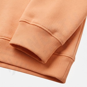 Sudaderas con Capucha para Hombre, Bordadas, Nuevo Diseño, Casuales, de Invierno, 100% Algodón, MOQ Bajo, Color Personalizado Premium - Product Image 6