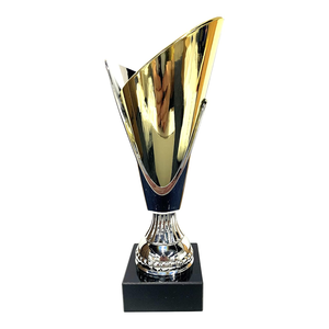 Copa de Trofeo Plateada con Elegante Premio Deportivo Dorado para Campeonatos, Competiciones Escolares, Eventos de Equipo y Reconocimiento - Product Image 3