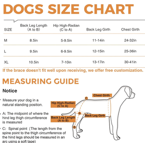 Soporte para Patas Traseras de Perro, Protector de Doble Articulación de Rodilla, Arnés de Movilidad Ajustable para Recuperación de Ligamento Cruzado - Product Image 3