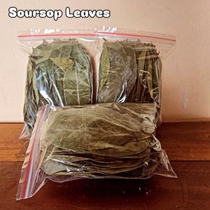 Soursop Fermented Dried Broken Black <b>Tea</b> Organic Non-Sugar Health 50gr 25 <b>Tea</b> Bags/<b>Box</b> Packaging Grade a EXPAD CO Binh Phuoc - Product Image 6
