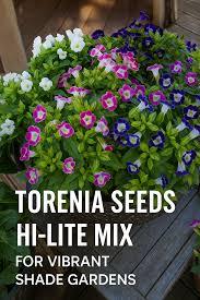 Flores Secas de Torenia Premium – Material Floral Seco Natural Decorativo para Manualidades, Potpourri y Decoración del Hogar - Product Image 5