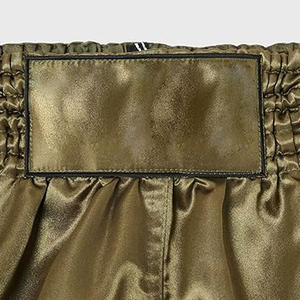 Shorts de boxe pour hommes à prix abordable et faible MOQ – Shorts de MMA de haute qualité, shorts d'arts martiaux, shorts de Muay Thai, shorts de kick-boxing confortables - Product Image 5