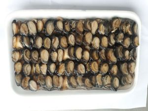 VIEt DELTA Boiled Apple Snail Meat Sweet Premium Rich Flavor Ginger Sauce Great Snail Noodle Soup Frozen Vacuum Bag 500g - Product Image 6