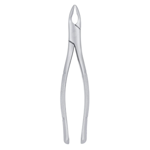 Forceps d'extraction dentaire chirurgical en acier inoxydable pour incisives inférieures, canines et premiers molaires (203) - Chirurgie buccale - Product Image 3