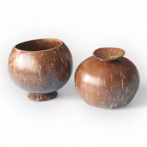 Vasos de coco biodegradables para fiestas tropicales, ideales para bebidas, muy vendidos. - Product Image 3