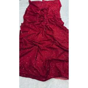 Hermoso Sari para Fiestas con Trabajo de Lentejuelas y Otros Accesorios Étnicos - Product Image 1