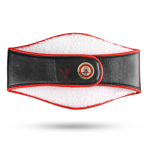 Cinturones de Campeonato de Boxeo WBA, Placas de Metal Doradas, Cinturón de Título, Talla Adulto - Product Image 4