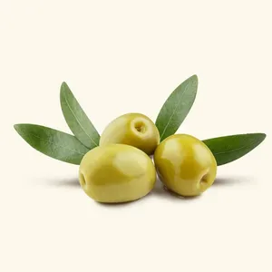 Huile d'olive vierge extra pressée à froid de qualité supérieure – Fournisseur B2B en gros pour les soins capillaires et l'usage industriel – Prix en gros par Katyani Exports - Product Image 1