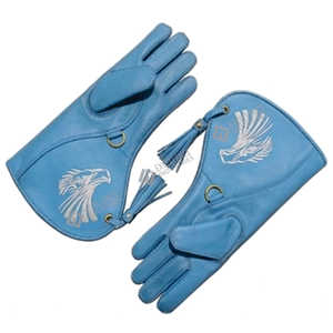 Guantes de Cetrería de Cuero de Primera Calidad, Bajo MOQ, Equipo de Caza Seguro, Precio Económico, OEM - Product Image 1