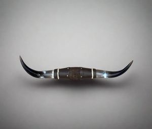 Cuerno de Vaca Pulido 100% Hecho a Mano de Alta Calidad, Forma Natural, Decoración Coleccionable de Arte Rústico y Moderno, Regalo Empresarial Duradero, Artesanía - Product Image 1