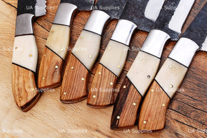 Hand Forged Eco-Friendly Ambidextrous Stainless Steel Razor Sharp 6-Piece Kitchen <b>Knife</b> Chef Set <b>Bone</b> Wooden <b>Handle</b> OEM ODM - Product Image 4