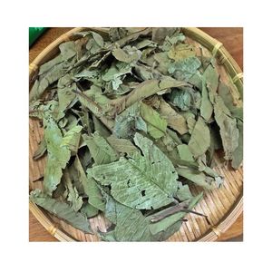 Feuilles de goyavier séchées très demandées pour la préparation de boissons rafraîchissantes, le thé et la préparation d'extraits alimentaires commerciaux - Product Image 4