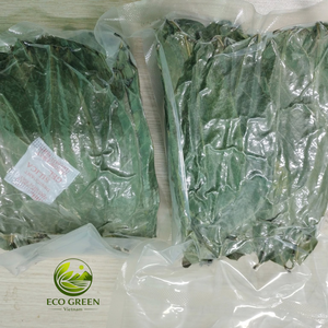 ใบชบาแห้งออร์แกนิคพรีเมียม ชาสมุนไพรอันโนน่า มูริคาตา ชาดีท็อกซ์ธรรมชาติ จำหน่ายส่งจากเวียดนาม - Product Image 4