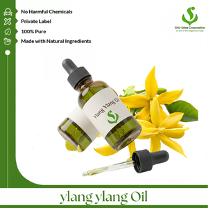 Fabricante Mayorista de Aceite Esencial de Ylang Ylang que Ofrece Suministro a Granel Confiable para Perfumerías y Fabricantes de Cosméticos - Product Image 1
