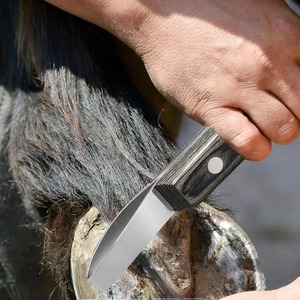 Cuchillo para Pezuñas Moderno y Sencillo de Acero Inoxidable, Herramienta para Pezuñas de Caballo, Cuchillo para Pezuñas con Anillo, Suministros para Establos, Productos para el Cuidado de Caballos - Product Image 5