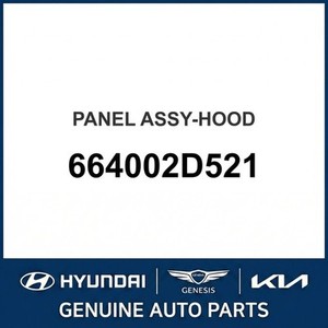 Paneles de Capó Nuevos para Elantra 664002D521 - Product Image 1