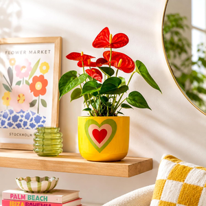 Pot de fleurs en terre cuite artisanal Heart Bloom, pot de fleurs décoratif en argile coloré avec trou de drainage pour plantes d'intérieur, salon - Product Image 3
