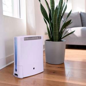 Deshumidificador Eléctrico Desecante para Sótano - Uso Doméstico con Control Electrónico - Product Image 1