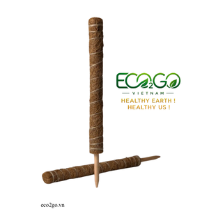 Poste de Musgo de Coco Moderno |   Estacas de Soporte Ecológicas de Fibra de Coco para Plantas en Maceta de Interior - Product Image 2