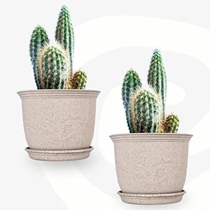 Maceta Cúbica de Bambú Natural con Drenaje - Venta al por Mayor de Macetas en India - Product Image 1