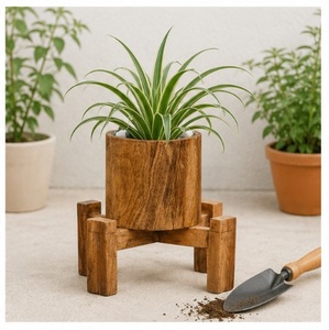 Soporte Moderno para Plantas de Madera, con Macetero de Madera de Mango Sólida, Ecológico, para Interiores, para Escritorio y Sala de Estar - Product Image 4