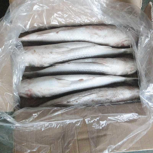 ปลาคร็อกเกอร์แช่แข็งคุณภาพพรีเมียม จำหน่ายส่ง ปริมาณมาก เกรดอาหาร พร้อมส่ง ผู้จัดจำหน่ายที่เชื่อถือได้สำหรับการส่งออก - Product Image 5