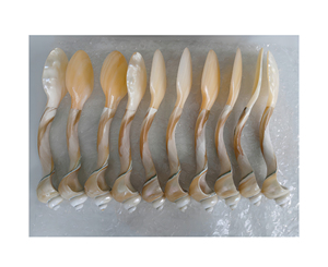 Decorative Seashell Spoon for <b>Coffee</b> and Tea Service Dining <b>Table</b> Settings and Home Accessory Collections - Product Image 5