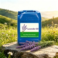 Huile Essentielle de Lavande en Gros Sans Additifs pour Massage Corporel, Aromathérapie, Diffuseur et Formulation de Soins de la Peau