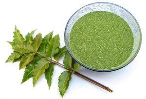 Poudre de feuilles de Neem naturelle, extrait végétal pur, qualité alimentaire, séchée par pulvérisation, soigneusement traitée, pour formules cosmétiques et soins personnels - Product Image 4