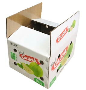 OEM 5-Layer Printed Offset Recycled Paper Self Erecting <b>Boxes</b> for Fruit Packaging Air Sea Express Shipping Agriculture Use - Product Image 2