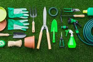 Ensemble d'outils de jardinage professionnels pour la culture de légumes et d'herbes - Product Image 6