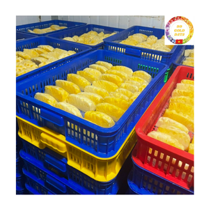 Ananas congelé IQF, morceaux de fruits tropicaux |   Vente en gros |   Exportateur vietnamien - Product Image 3