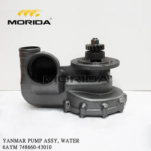 Conjunto de bomba 6AYM 748660-42013/748660-42014, agua de mar para YANMAR - Product Image 5