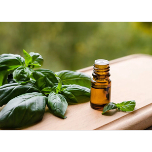 Huile essentielle de basilic de haute qualité 100% pure et naturelle pour l'aromathérapie, la nutrition du cuir chevelu et les soins de la peau au meilleur prix - Product Image 4