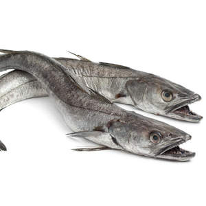 Pescado hake congelado al por mayor, captura congelada para distribución global - Product Image 3