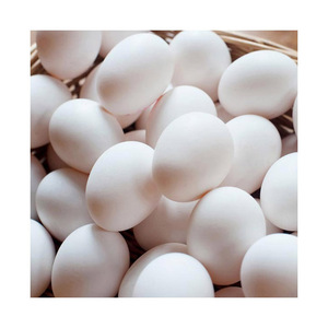 ไข่ไก่สดเปลือกสีน้ำตาลขายส่ง ไข่ไก่สดจากฟาร์ม และไข่ไก่เปลือกขาว - Product Image 3