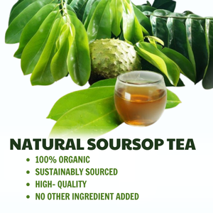 Organic Vietnam Sour Sop Powder Graviola Fruit and Leaf <b>Extract</b> Premium Plant Supplement - Product Image 6