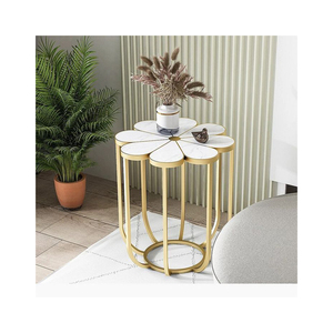Table d'appoint au design fabuleux en métal, table basse avec plateau en verre trempé et étagère de rangement pour la décoration du salon - Product Image 4