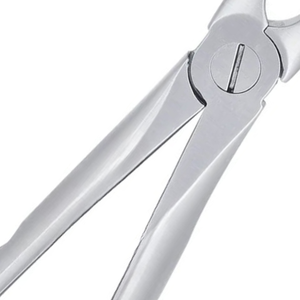 Pinzas de Extracción Atraumática de Acero Inoxidable Quirúrgico para 35 Dientes Superiores (Caninos, Premolares, Molares) - Instrumento de Cirugía Oral - Product Image 6