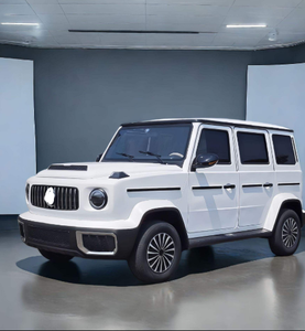 Vendedor de China: Mini Auto Eléctrico, Mini G Wagon, Auto Eléctrico para Adultos - Product Image 1