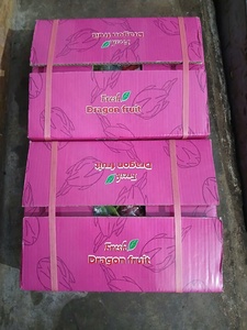 แก้วมังกรเนื้อแดงเวียดนาม ยี่ห้อตามสั่ง ราคาดี มีจำหน่ายสำหรับการส่งออก |   คุณเอร่า 0084786436556 - Product Image 6