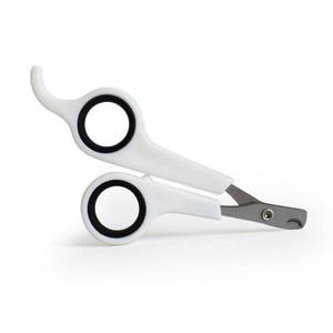 Hot Selling Stainless Steel <b>Scissors</b> for Cats Pet Nail Shear with Plastic Handle - Product Image 3