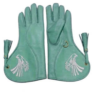 Guantes de Cetrería Falcon 2026, Guantes de Cuero Personalizados de Alta Calidad para el Crianzamiento de Halcones y la Manipulación de Aves - Product Image 1