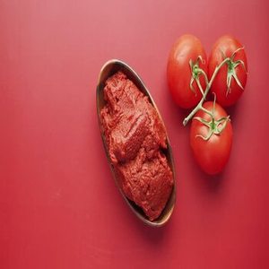 New Harvest Indian <b>Tomato</b> Paste Concentrate for Professional <b>Food</b> Production, Sauce Formulation and Commercial Kitchen - Product Image 1