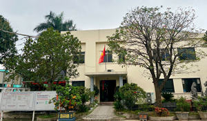 Entretela no tejida blanca de 60 pulgadas, entretela negra de 20 gramos/Mex/Scrim, materia prima de 100% poliéster, respetuosa con el medio ambiente, alto estándar - Product Image 4