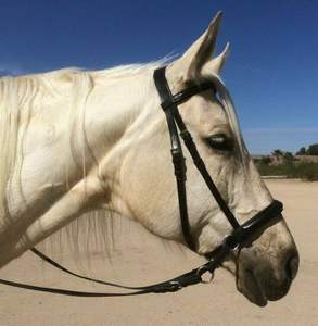 Brida Inglesa de Cuero Premium ADEEFA, Alta Demanda, Acolchado Suave, Herrajes de Acero Inoxidable, para Montar a Caballo, Suministro Mundial. - Product Image 1