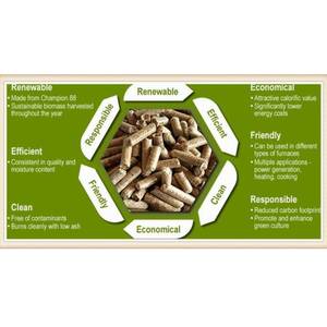 Granulés de biomasse de qualité industrielle 6 mm – Combustible écologique à combustion propre - Product Image 6