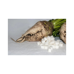 Blettes sucrières cultivées naturellement, culture agricole de haute qualité avec des caractéristiques de récolte supérieures - Product Image 1
