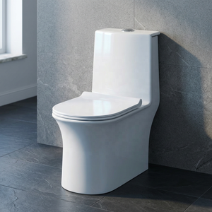 WC monobloc en céramique sans bride, à chasse d'eau cyclonique, pour salle de bain moderne, directement de l'usine - Product Image 5