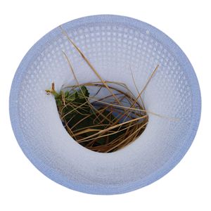 Calze in rete di nylon resistenti (confezione da 10) per skimmer da piscina, strumento e accessorio per la pulizia di piscine fuori terra per prevenire l'accumulo di detriti e il blocco dei filtri - Product Image 4